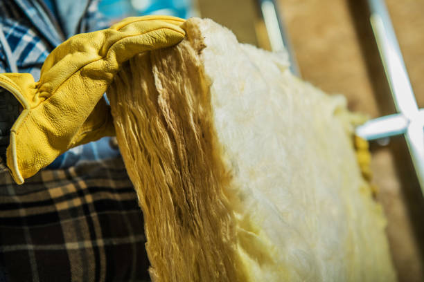 Best Eco-Friendly Insulation in Casa Blanca, AZ